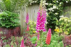 Garden-Design-7